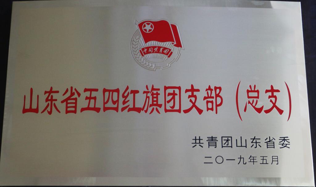 济宁学院物理与信息工程系团总支被授予“山东省五四红旗团总支”