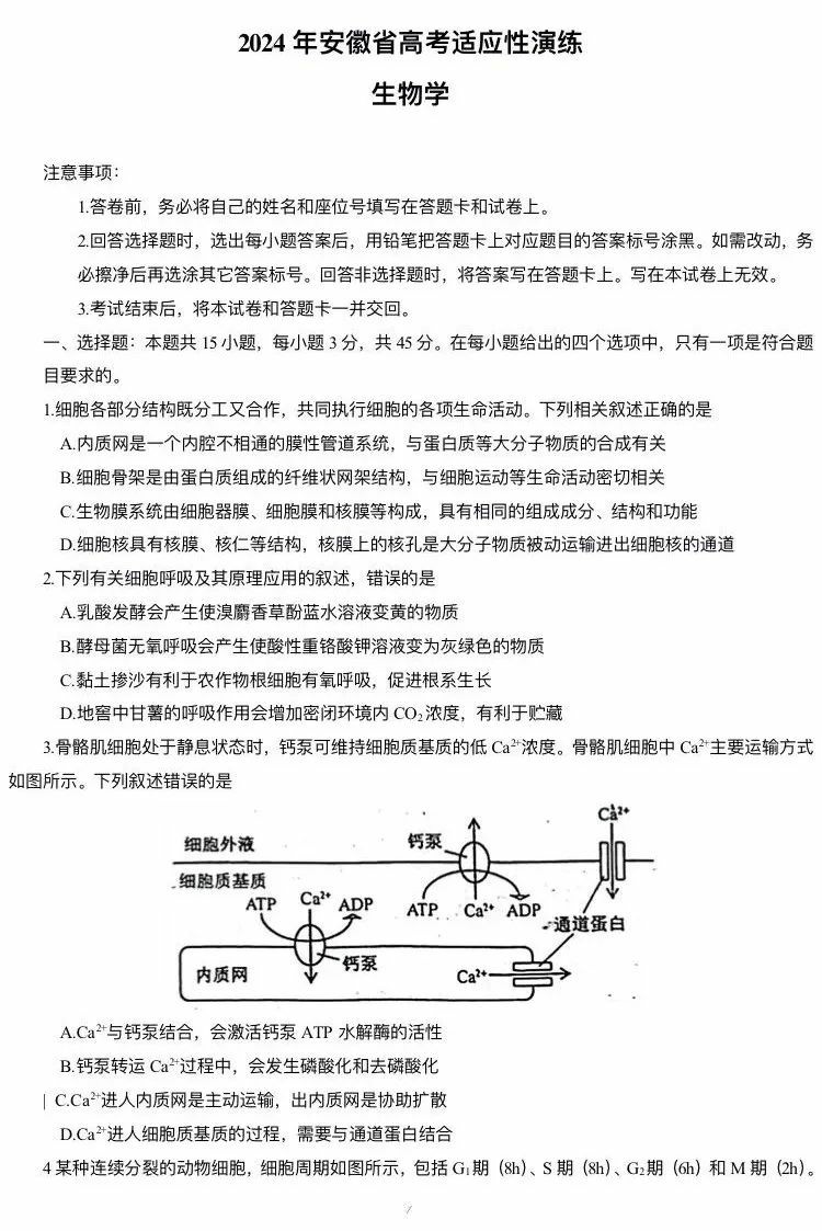 2024年新高考九省联考生物试题（安徽）